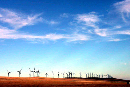 Photograph ofwindmills